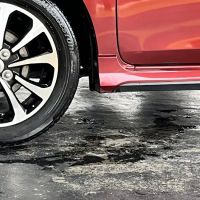 Cleanz.My AutoSpa - Semenyih ico