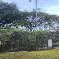 Childrens Park 🏞️ ico