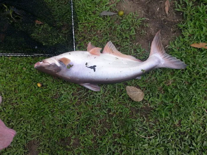 Eton residen sungai buaya peringkat 3 Picture 9