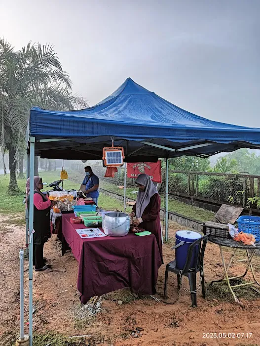 Nasi Lemak Simpang 1B Picture 5