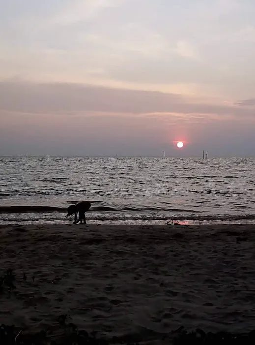 Pantai Peranginan Bagan Lalang Picture 4