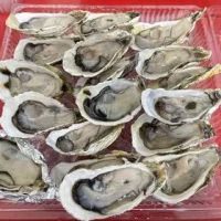 Mix Taste MY - Putrajaya Outlet ico