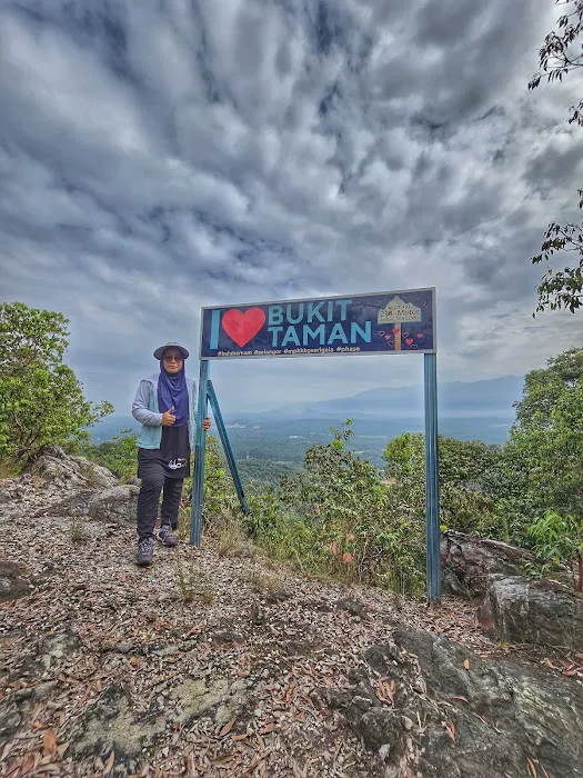 Bukit Taman Picture 5