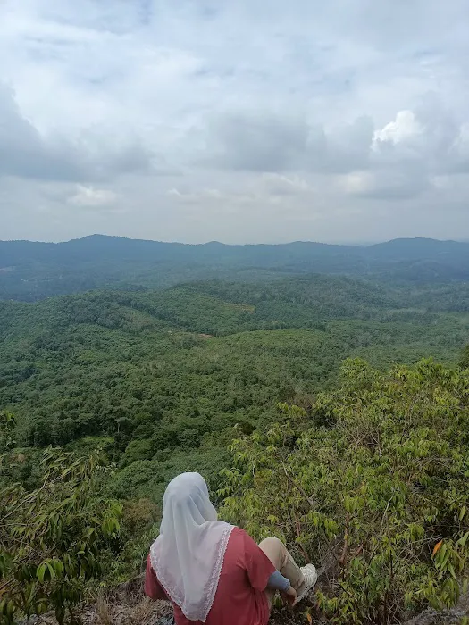 Bukit Taman Picture 3