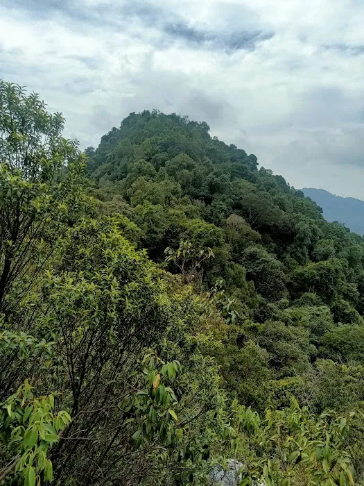 Bukit Taman Picture 1