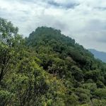 Bukit Taman