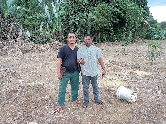 Kebun Fishah Jep Picture 6
