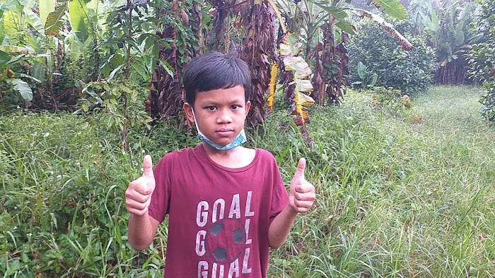 Kebun Fishah Jep Picture 7