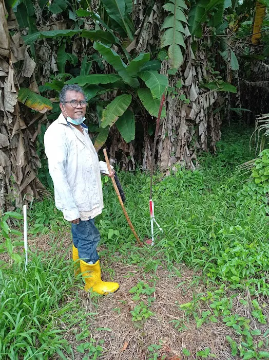 Kebun Fishah Jep Picture 10