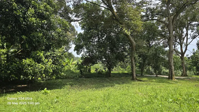 KTM 4sekawan Picture 2