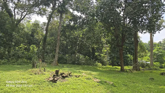 KTM 4sekawan Picture 6