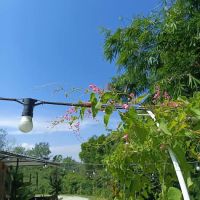 Bukit Guling Ayam ico