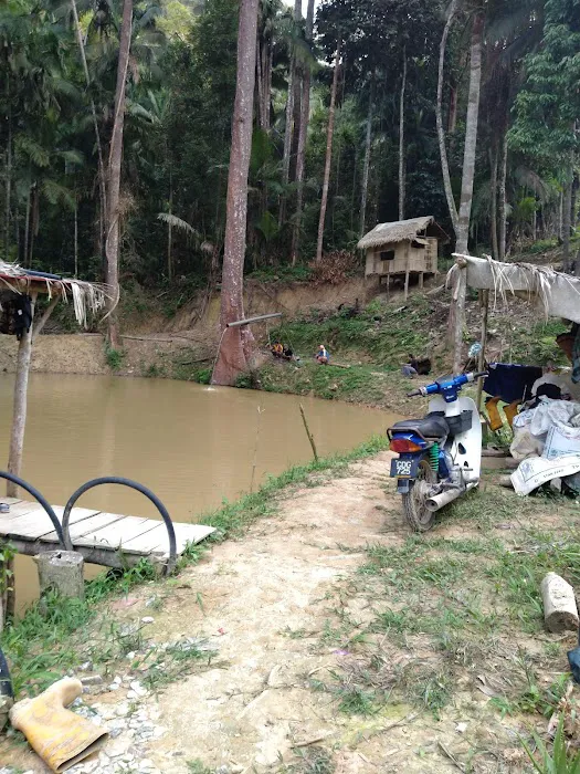 Bayas Hill Picture 7