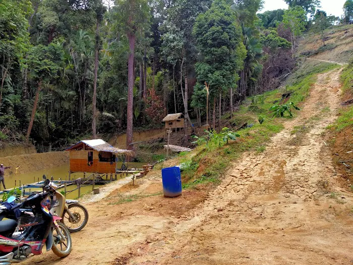 Bayas Hill Picture 9