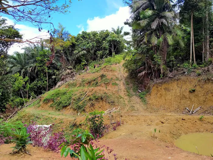 Bayas Hill Picture 4