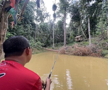 Bayas Hill
