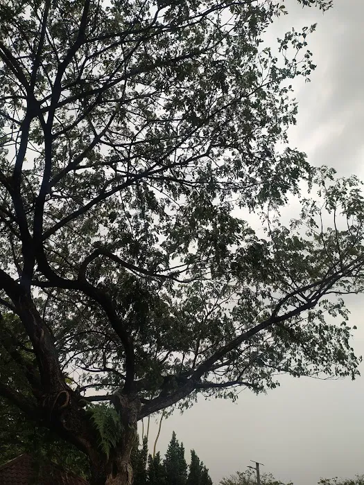 Kawasan Rekreasi Taman Tasik Depan Unisel Picture 8