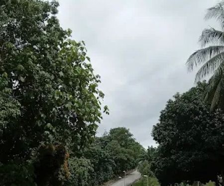 Bukit Tonggek