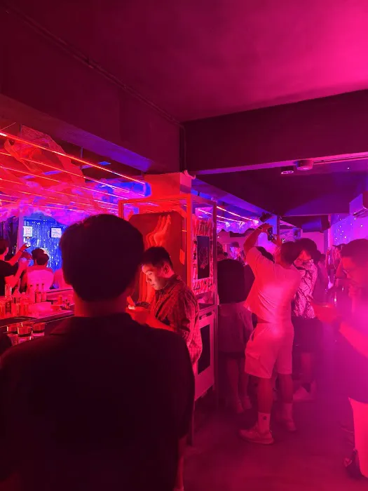 duckduck bar Picture 6