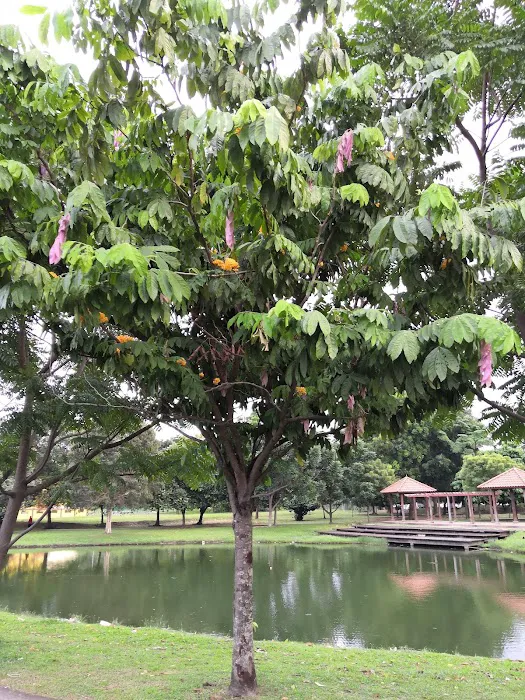 Bandar Botanic Garden Picture 8
