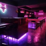 Pink Fox