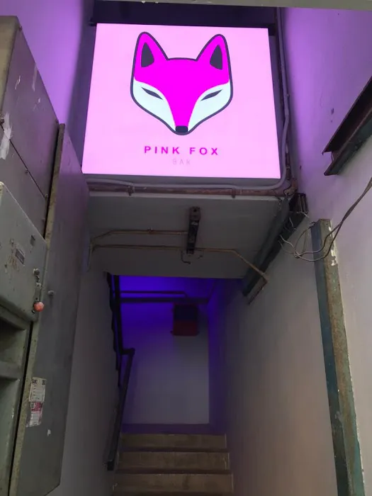 Pink Fox Picture 9