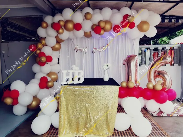 My Party Wonderland Picture 8