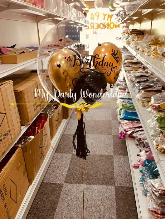 My Party Wonderland Picture 4