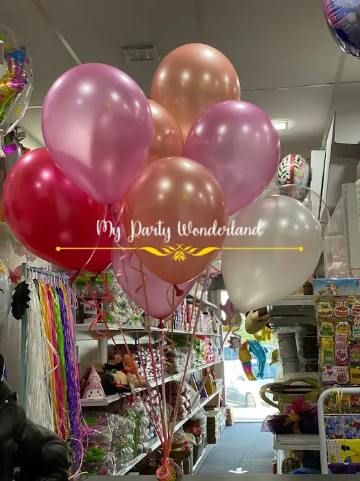 My Party Wonderland Picture 5