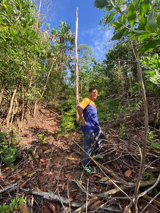 Puncak Bukit Belacan Besout Picture 5