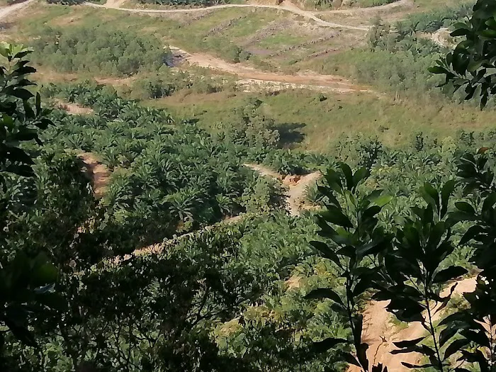 Puncak Bukit Belacan Besout Picture 1