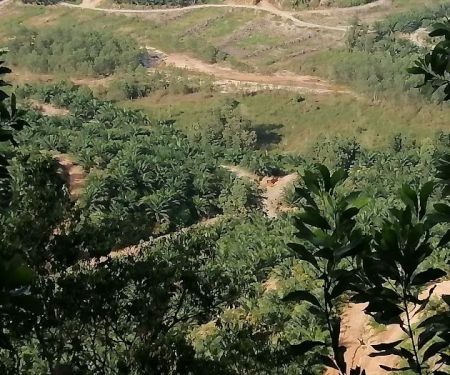 Puncak Bukit Belacan Besout