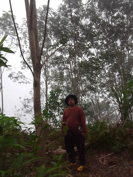 Puncak Bukit Belacan Besout Picture 4