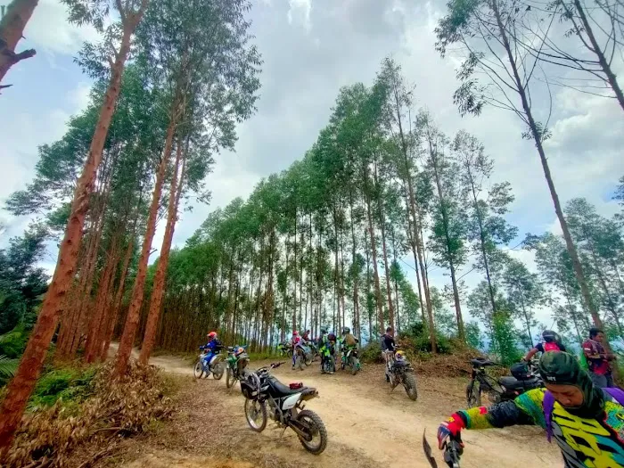 Puncak Bukit Belacan Besout Picture 8