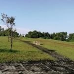 Landfill Park Trail Peak
