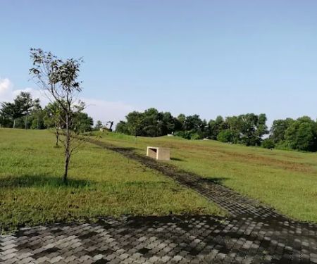 Landfill Park Trail Peak