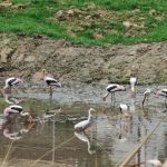 Kolam Takungan Mesra Alam KT20