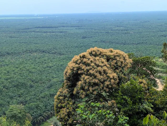 Ti peak Picture 8