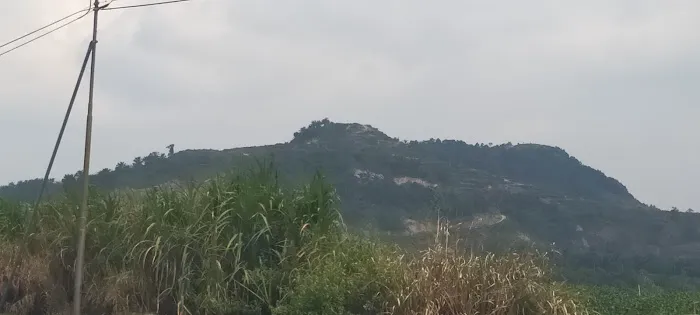 Ti peak Picture 3