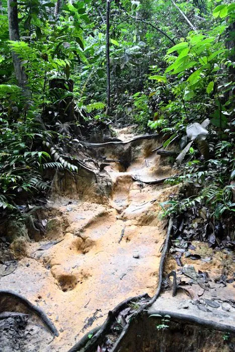 Puncak Ayer Hitam Picture 1