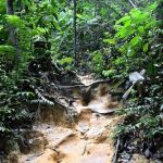 Puncak Ayer Hitam