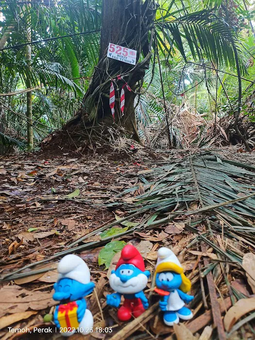 Bukit Ulu Temoh Picture 2