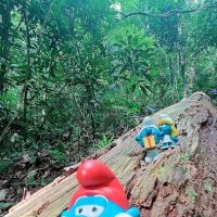 Bukit Ulu Temoh ico