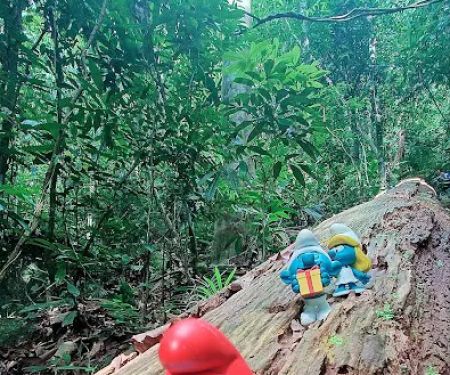 Bukit Ulu Temoh