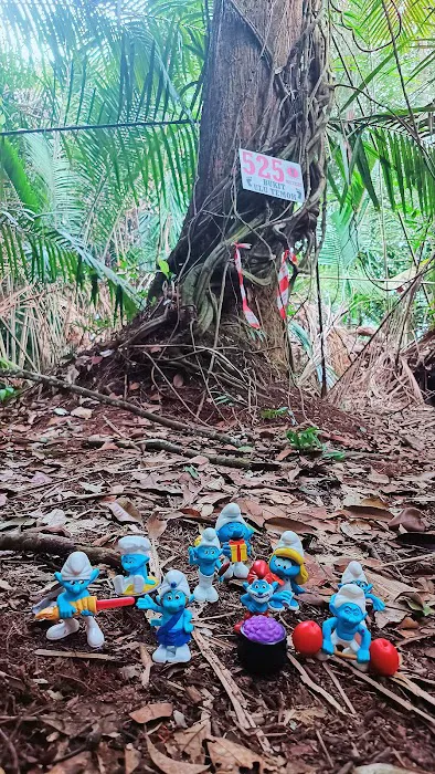 Bukit Ulu Temoh Picture 3