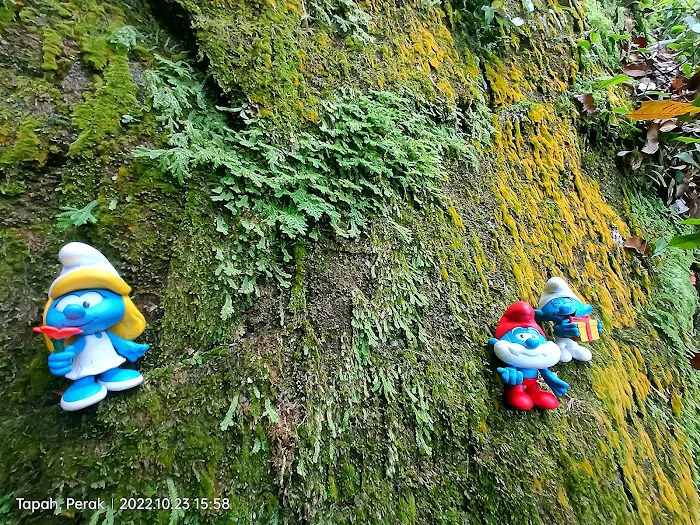 Bukit Ulu Temoh Picture 6