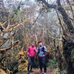 Gunung Batu Putih