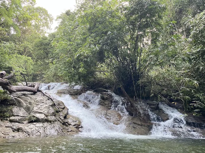 Gunung Relau Trailhead Picture 8