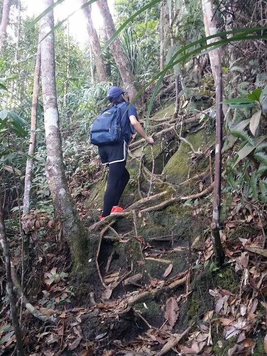 Gunung Relau Trailhead Picture 5