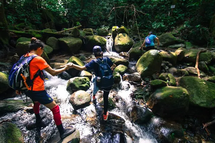 Gunung Relau Trailhead Picture 2